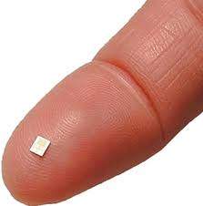 Chinese Antiques to get electronic ID cards microchip