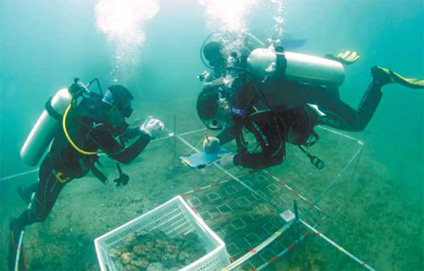 Safeguarding China's sunken riches chinese-treasure