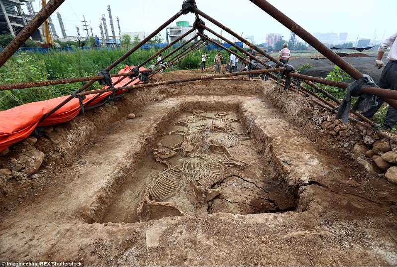 Horses Ceramic Bronze & Jade Found In 2700 Year Old Tomb tomb