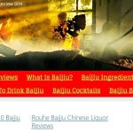 Do You Baijiu? BaijiuBrands.com Do You Baijiu? BaijiuBrands.com