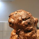 INTERESTING WOOD, EXQUISITE NATURAL GROWTH chinese foo dog, fo dog, art,ornament INTERESTING WOOD, EXQUISITE NATURAL GROWTH chinese foo dog, fo dog, art,ornament