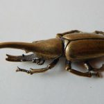 RARE CHINESE OLD BRASS HANDMADE BEETLE FIGURE RARE CHINESE OLD BRASS HANDMADE BEETLE FIGURE