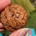 Antique Chinese carved walnut, 1000 faces Luohans buddhas. very detailed Antique Chinese carved walnut, 1000 faces Luohans buddhas. very detailed