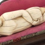 The Chinese "Doctor's Lady": History & Uses The Chinese "Doctor's Lady": History & Uses